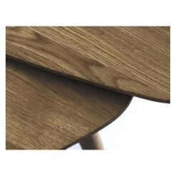 Ada Salontafel set van 2 driehoek Bruin