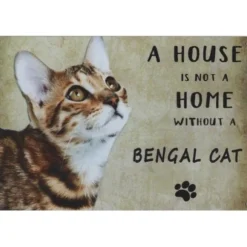 A home Bengal Cat - metalen bord