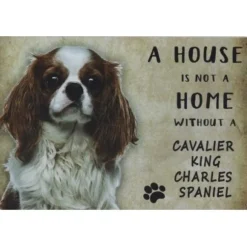 A home Cavalier King Charles Spaniël - metalen bord