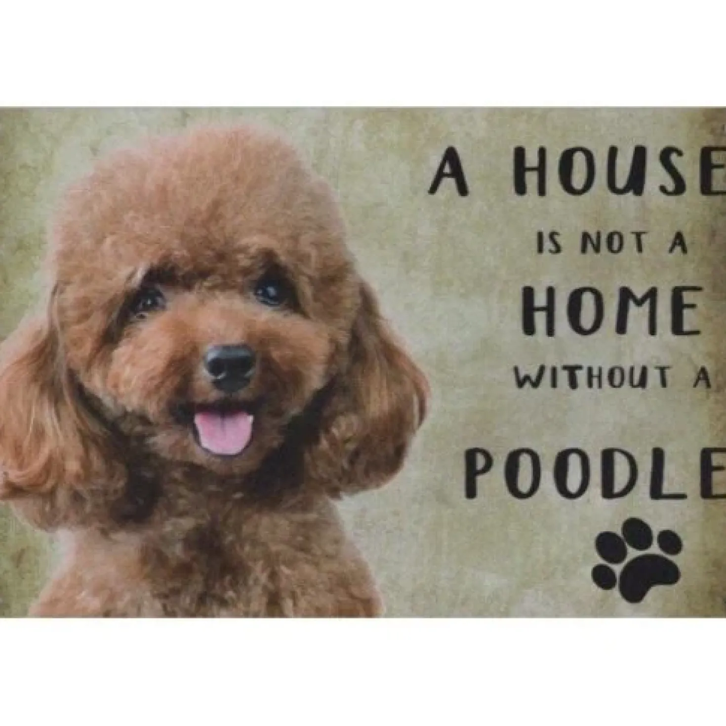 A home Poodle - metalen bord