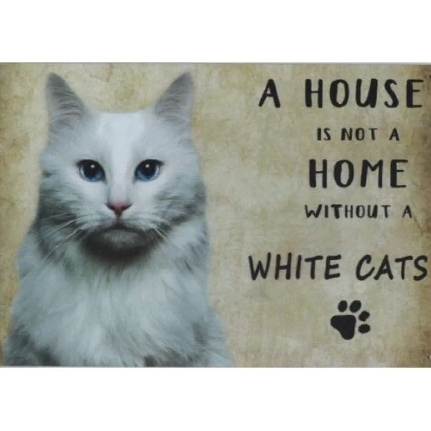 A home White Cats - metalen bord