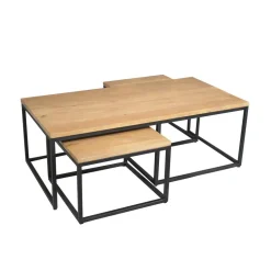 Alaska Salontafel Set van 3 rechthoekig Mangohout 120cm