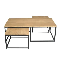 Alaska Salontafel Set van 3 rechthoekig Mangohout 120cm