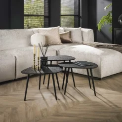Arioni Salontafel set van 3 organisch metallic / zwart