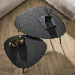 Arona Salontafel set van 2 organisch metallic / Grijs