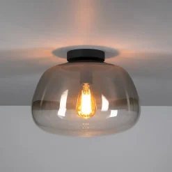 Carlos 1-lichts Plafondlamp Smoke glas