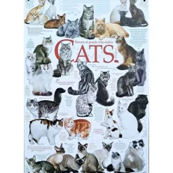 Cats - metalen bord