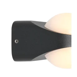 Cesar 2-lichts Buitenlamp Zwart inclusief lichtbronnen