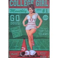 Collage Girl - metalen bord