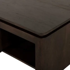 Dallas Salontafel vierkant Bruin Mangohout 80cm