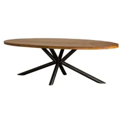 Diego Eettafel ovaal mangohout 200×100