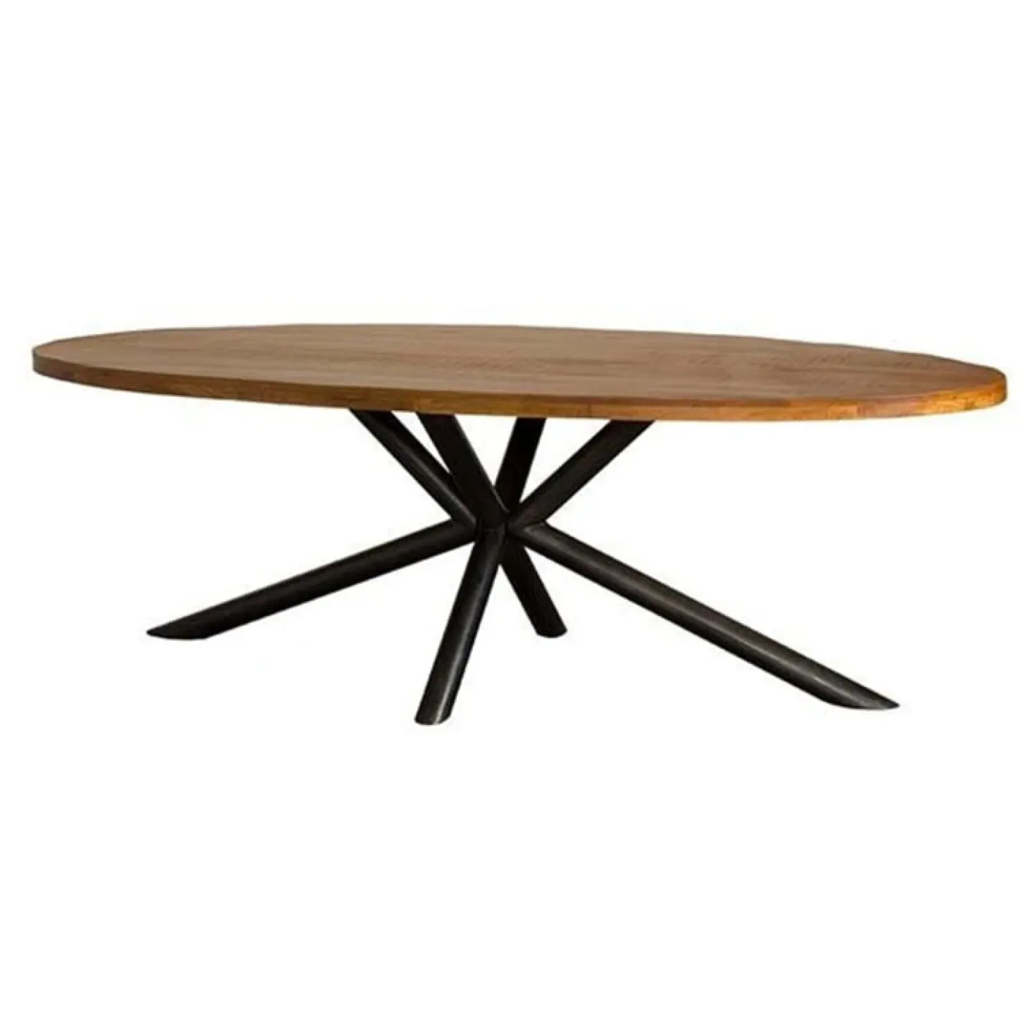 Diego Eettafel ovaal mangohout 200×100