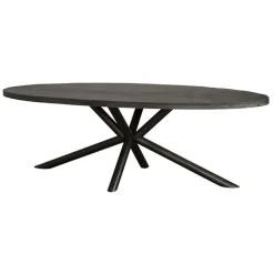Diego Eettafel ovaal zwart mangohout 200×100