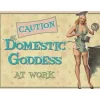 Domestic Goddess - metalen bord