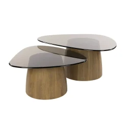 Dominick Salontafel set van 2 driehoekig Brons glas