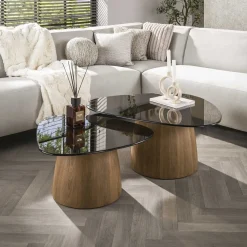 Dominick Salontafel set van 2 driehoekig Brons glas