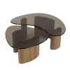 Dominick Salontafel set van 2 organisch Brons glas