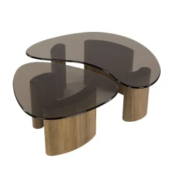 Dominick Salontafel set van 2 organisch Brons glas