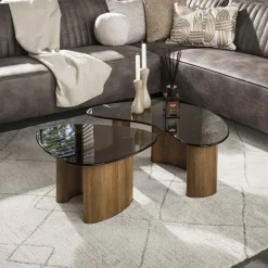 Dominick Salontafel set van 2 organisch Brons glas