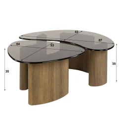 Dominick Salontafel set van 2 organisch Brons glas