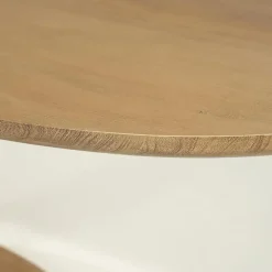 Eettafel Coco ovaal Naturel mangohout 300cm