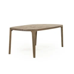 Eettafel Taylor mangohout 200cm