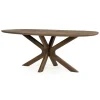 Eettafel Tycho ovaal Lichtbruin mangohout 210cm