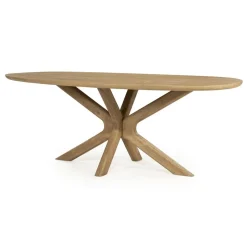 Eettafel Tycho ovaal Naturel mangohout 210cm