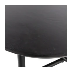 Elegance Salontafel mangohout/metaal zwart 100cm
