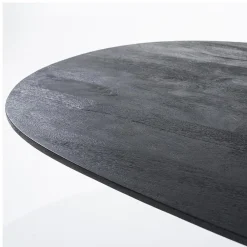 Eleonora eettafel Aron ovaal 200×110 zwart