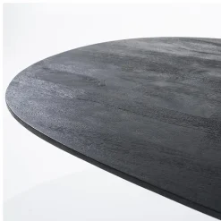 Eleonora eettafel Aron ovaal 250×110 zwart