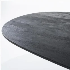 Eleonora eettafel Aron ovaal 300×110 zwart