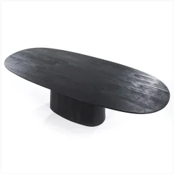 Eleonora eettafel Aron ovaal 300×110 zwart