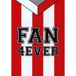 Fan 4 Ever Voetbal Eindhoven - metalen bord