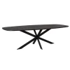 Ferry Eettafel Deens Ovaal Zwart Eiken 280 cm