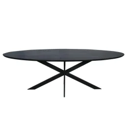 Ferry Eettafel Ovaal Zwart Eiken 240cm