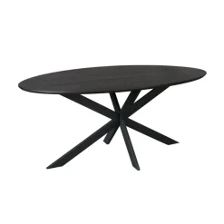 Ferry Eettafel Ovaal Zwart Eiken 180 cm