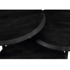 Franklin salontafel set van 3 zwart