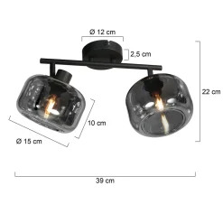 Gabriella 2-lichts Plafondlamp Smoke Glas