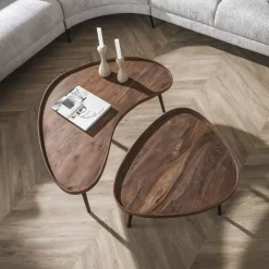 Giorgia Salontafel set van 2 organisch Acaciahout Bruin 103cm