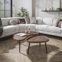 Giorgia Salontafel set van 2 organisch Acaciahout Bruin 103cm