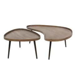 Giorgia Salontafel set van 2 organisch Acaciahout Bruin 103cm