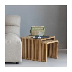 Jasmijn Bijzettafel recycled teak naturel set van 2