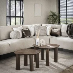 Jill Salontafel set van 2 driehoekig Teakhout
