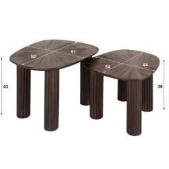 Jill Salontafel set van 2 driehoekig Teakhout