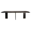 Lior Eettafel Zwart Goudpoot 240cm