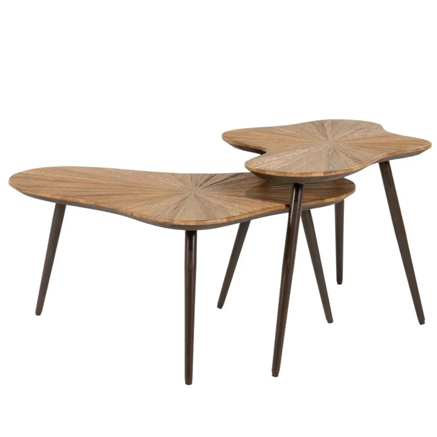 Loma Salontafel organisch Set van 2