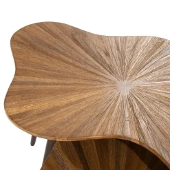 Loma Salontafel organisch Set van 2