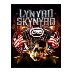Lynyrd Skynyrd Schedel - metalen bord