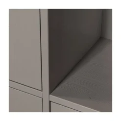 Merel Opbergkast Dennenhout Warmgrijs 100cm